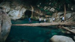 Dari Penebang Kayu ke Pemandu Ekowisata: Kisah Ritno Kurniawan, Penggerak Desa Sejahtera Astra Nyarai