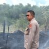 Gerak Cepat, Dit Samapta dan Satbrimob Polda Kaltara Jinakkan Karhutla di Jalan Poros Tanjung Selor KM 4