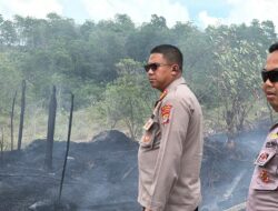 Gerak Cepat, Dit Samapta dan Satbrimob Polda Kaltara Jinakkan Karhutla di Jalan Poros Tanjung Selor KM 4