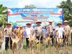 Wujudkan Swasembada, Kapolda Kaltara Pimpin Panen Raya Jagung Serentak di Tarakan