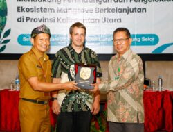 Kaltara Perkuat Perlindungan Mangrove Melalui Forest Programme VI