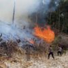 Respons Cepat, Personel Gabungan Polda Kaltara Padamkan Kebakaran Lahan Dua Hektare di Tanjung Selor