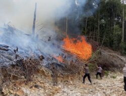 Respons Cepat, Personel Gabungan Polda Kaltara Padamkan Kebakaran Lahan Dua Hektare di Tanjung Selor