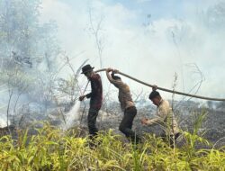 Quick Response Ditsamapta Polda Kaltara, Padamkan Titik Api Baru di Lahan 11,5 Hektare