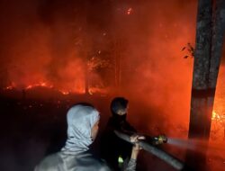 Berjibaku Dengan Api, Ditsamapta Polda Kaltara Tangani Kebakaran Lahan Seluas Dua Hektare di Desa Apung
