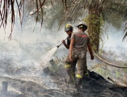Tiga Lokasi Karhutla di Bulungan Ditangani Personel Ditsamapta Polda Kaltara