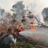 Pemprov Ingatkan Warga Waspadai Karhutla di Tengah Cuaca Ekstrem