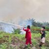 Asap Karhutla Mulai Ganggu Kualitas Udara, Dishut Imbau Warga Waspada