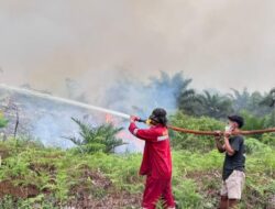 Asap Karhutla Mulai Ganggu Kualitas Udara, Dishut Imbau Warga Waspada