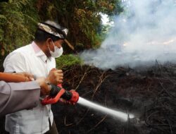 Karhutla Kaltara Terendah di Kalimantan, Kewaspadaan Tetap Diperketat