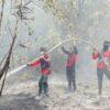 Gerak Cepat Tangani Karhutla, Ditsamapta Polda Kaltara Bersama Instansi Terkait Padamkan Titik Api di Dua Lokasi