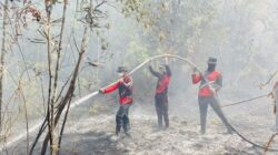 Gerak Cepat Tangani Karhutla, Ditsamapta Polda Kaltara Bersama Instansi Terkait Padamkan Titik Api di Dua Lokasi