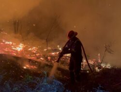 Respons Karhutla, Personel Batalyon A Pelopor Melaksanakan Pemadaman Karhutla di KM. 12 Bulungan