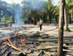 Terima Laporan Warga, Arena Sabung Ayam di Binusan Dibakar