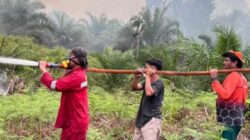 Dishut Perkuat Kesiapsiagaan, 282 Hotspot Terdeteksi hingga September