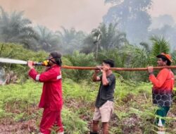 Dishut Perkuat Kesiapsiagaan, 282 Hotspot Terdeteksi hingga September